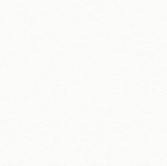 Meet your Posher, Anne - Picture 1 of 1